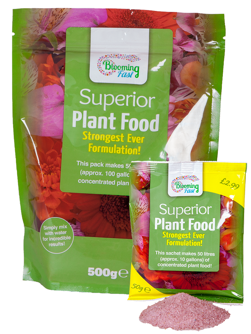 Blooming Fast Plant Foods